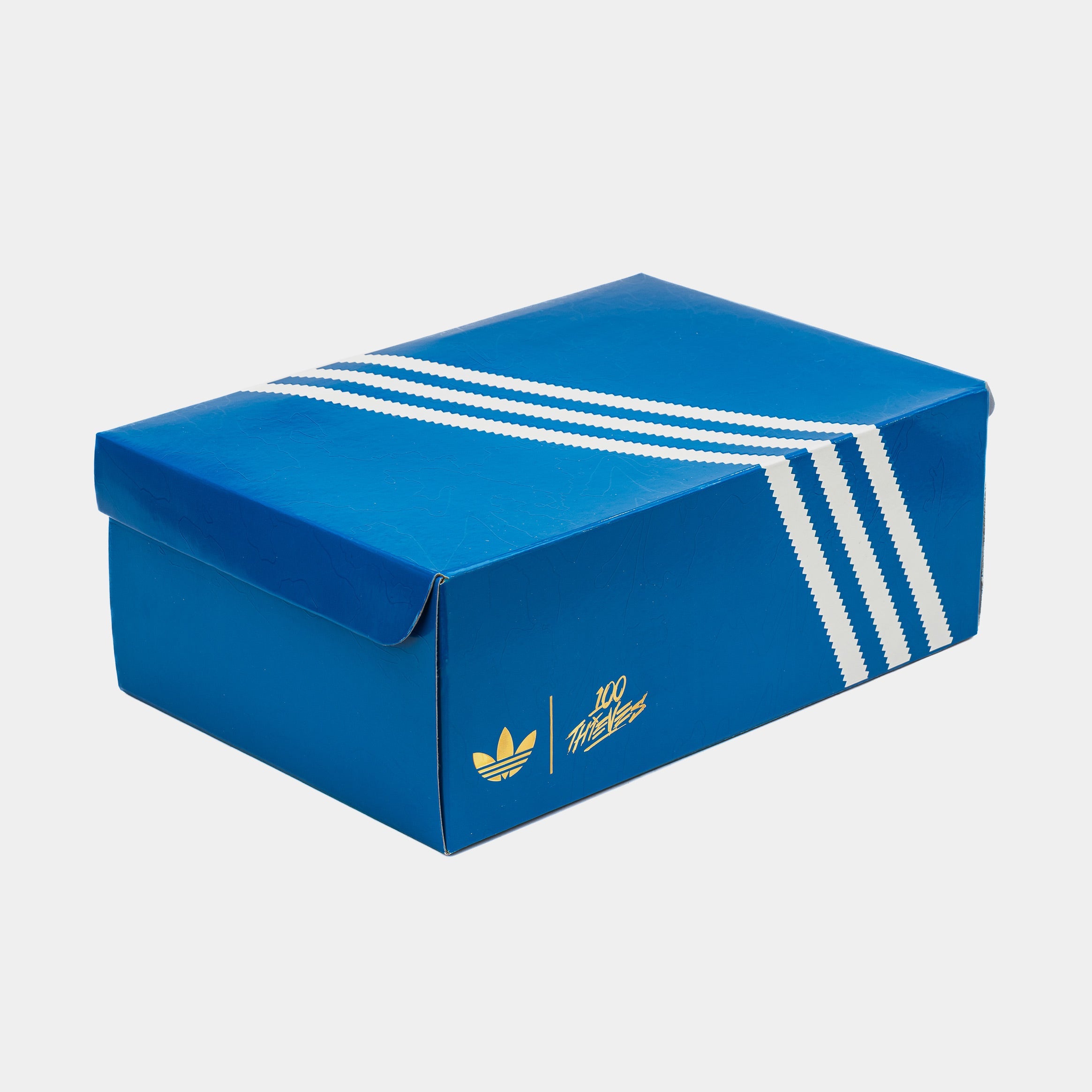 100 Thieves Palos Hills Mens Lifestyle Shoes (Silver/Black)